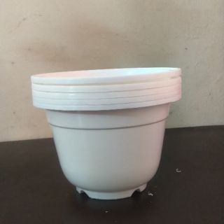 Set 5 chậu nhựa tròn đường kính 25cm màu trắng
