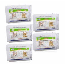 men tiếu hóa biotic hỗ trợ điều trị tiêu chảy chó mèo