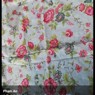Set cotton +thô kien