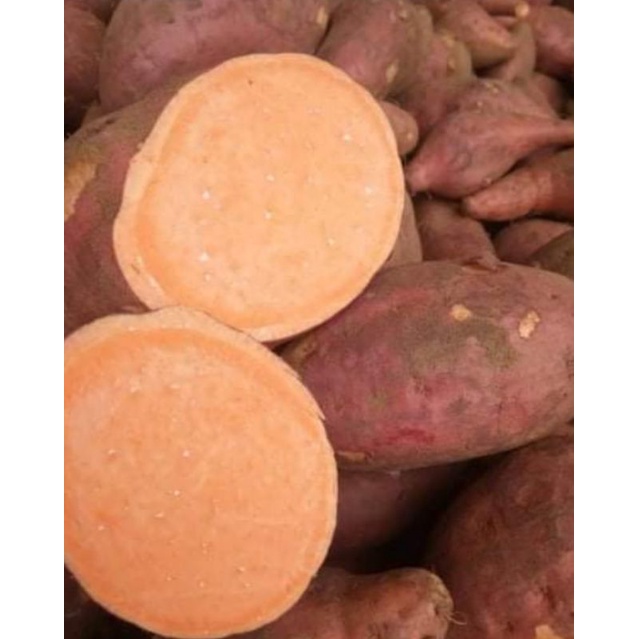 5kg/100k Khoai lang nghệ