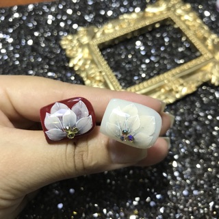 Combo 40 hoa bột nail