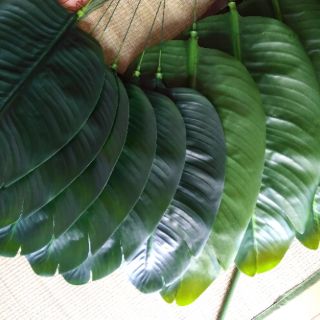Cây chuối giả cảnh cao 1 met( kèm chậu)