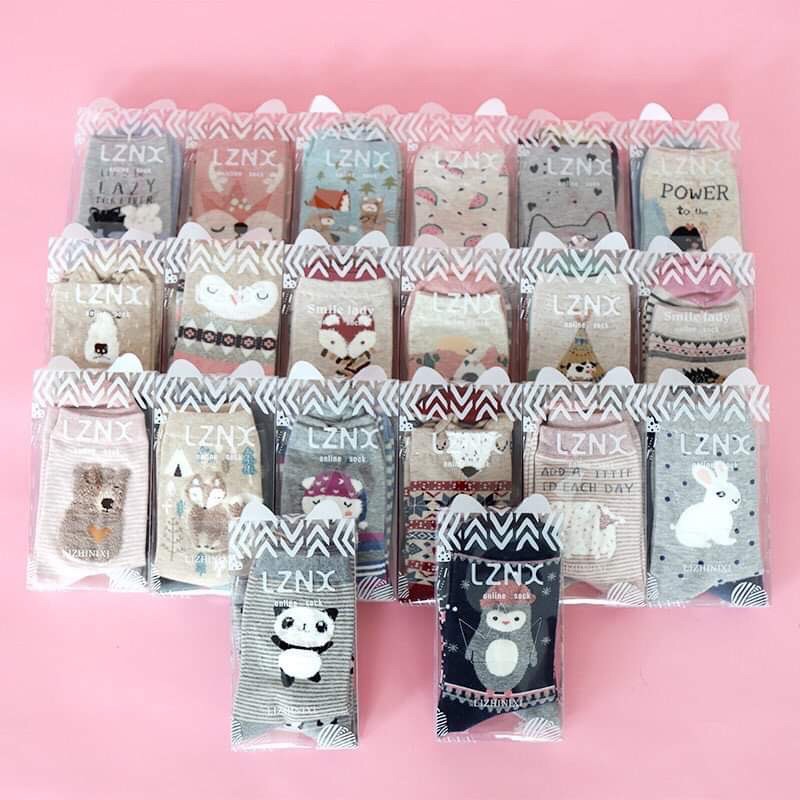 Set 2 đôi tất nữ cao cổ dễ thương