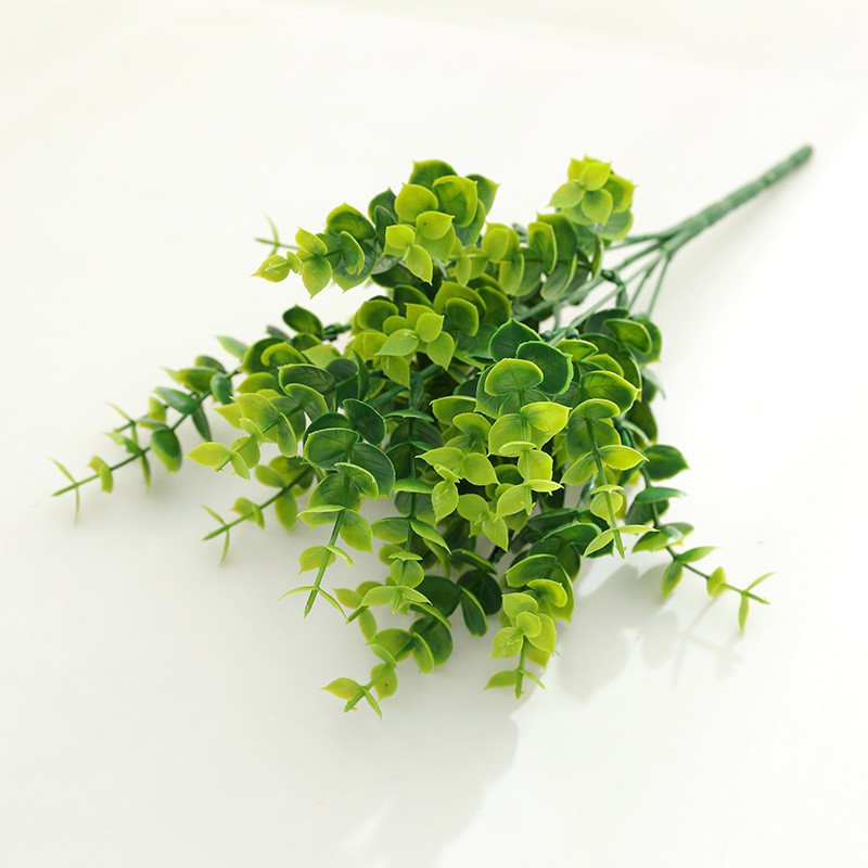 Chùm lá bạch đàn VI006, trang trí thực vật nền tường với cỏ Lá dương xỉ Ba tư cây xanh