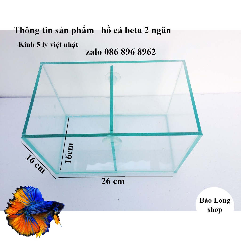 Hồ cá, bể cá beta 2 ngăn, hồ cá cảnh thủy sinh