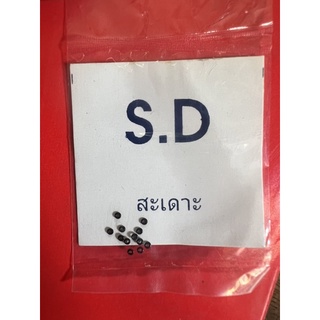 Ron Núm đồng Hồ