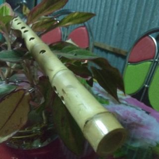 Sáo dọc  tone c5, G4, Bb..(trúc Bắc Ninh)