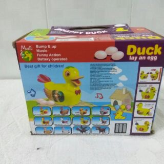Vịt đẻ trứng loại lớn