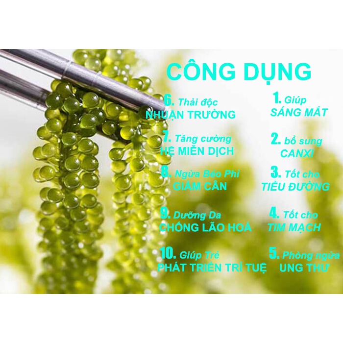 Rong Nho Tách Nước Khánh Hoà 100Gr - Cô Lê Ba [FREESHIP] - Công Nghệ Tách Nước Tiêu Chuẩn Nhật Bản | BigBuy360 - bigbuy360.vn