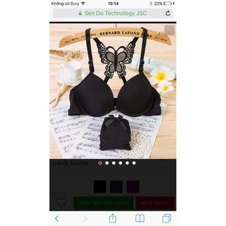 bộ đồ lót cánh bướm