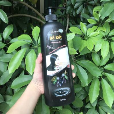 Dầu gội bồ kết chính hãng công ty 950ml | Thế Giới Skin Care