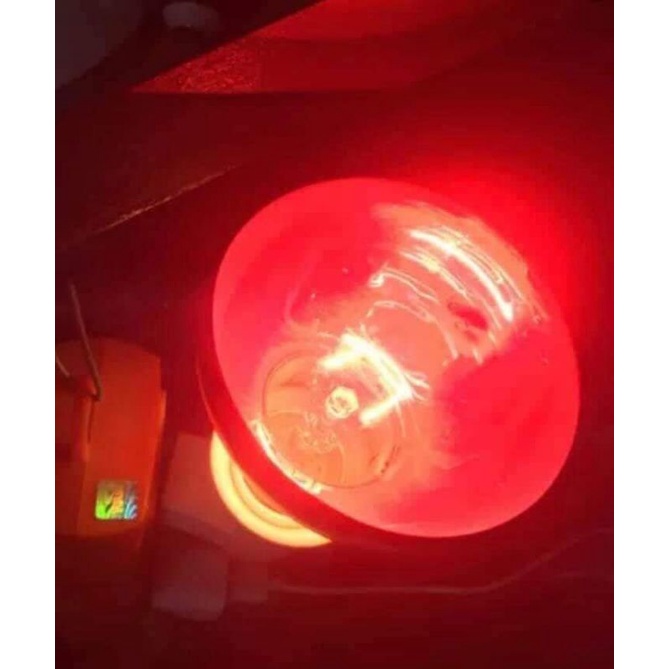 Bóng Úm Sưởi Ấm Gia Súc,Giá Cầm 45w,75w