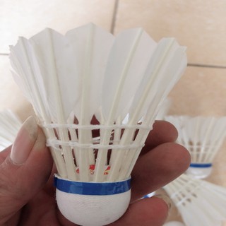 Cầu Lông Hoàng Đế 10 quả
