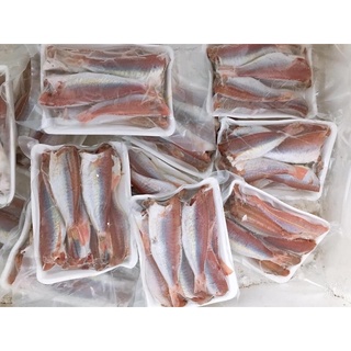 CÁ HỒNG PHÈN 1 NẮNG 1kg
