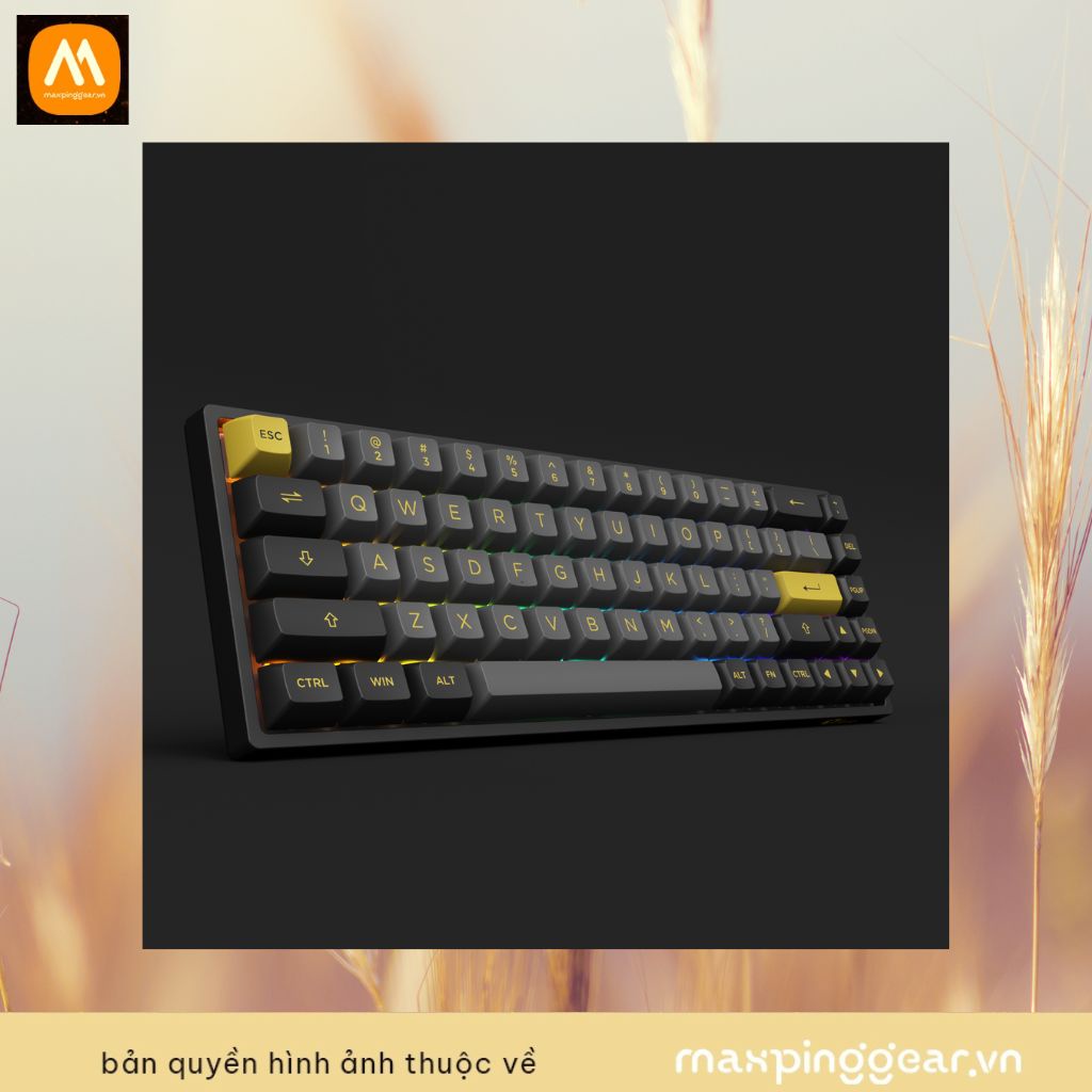Bàn phím cơ AKKO 3068B Plus Black&Gold