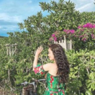 Vải tr tơ hoa
