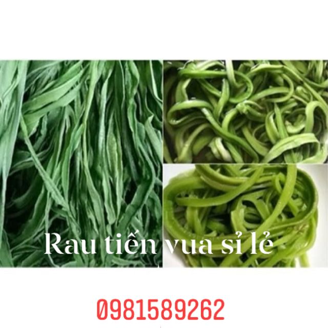 Rau tiến Vua ngon 500g(đã hút chân không)