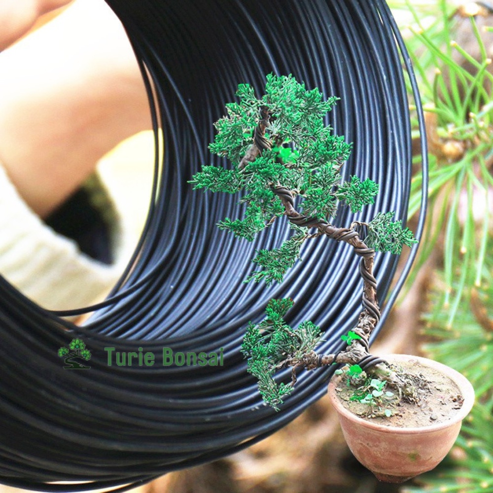 Dây Nhôm Uốn Cây Cảnh Bonsai 100gr Đủ Mọi Kích Cỡ Duy Nhất Trên Shopee