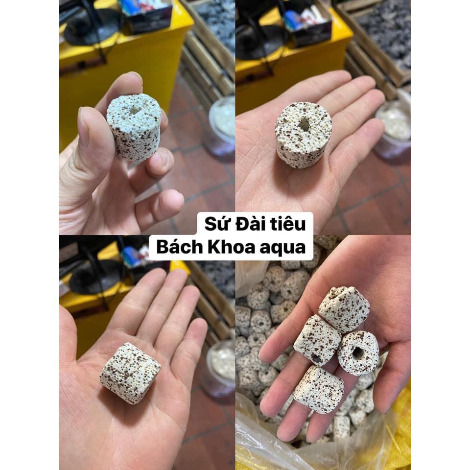 Sứ Trụ tiêu Đài Loan