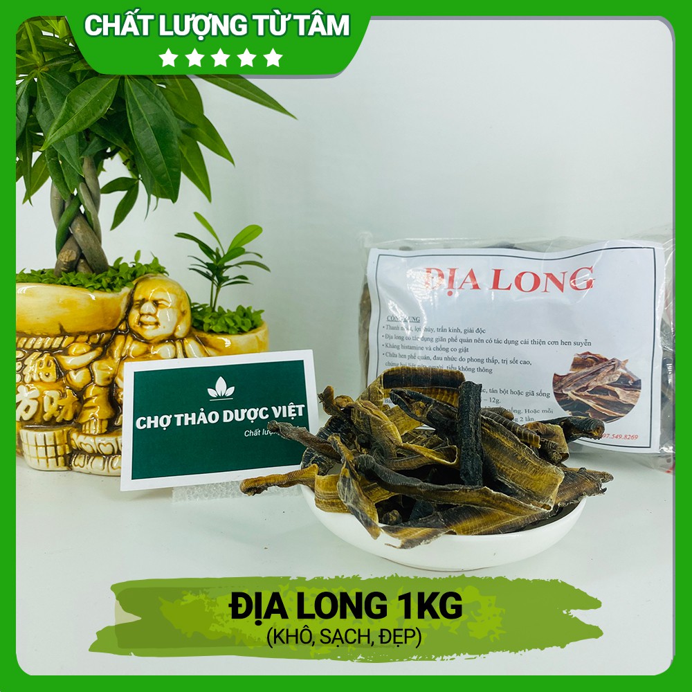 1kg Địa long khô, to, sạch, không lẫn tạp chất- Chợ Thảo Dược Việt