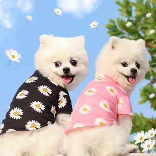 áo thun hoa cúc HOT TREND năm nay dành cho chó mèo