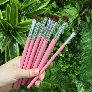 Sét cọ mắt 7 cây