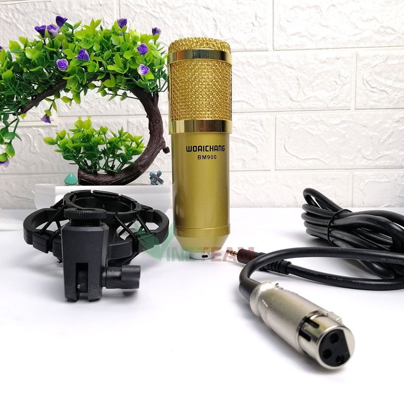 Mic Bm900 Woai Chang hát karaoke hay tuyệt đỉnh