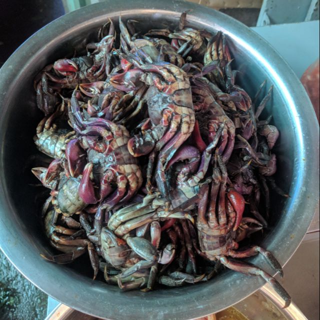 Ba khía con 500 gr