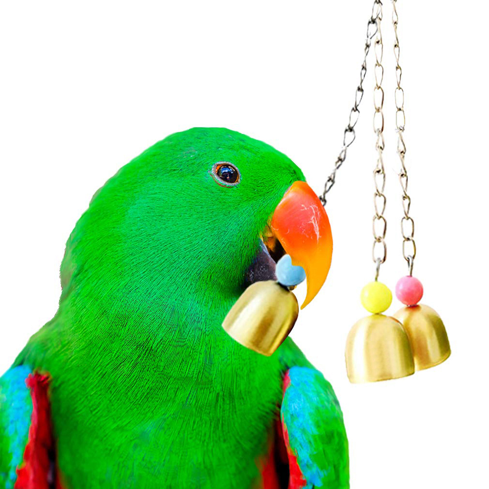 brittany Pet Bird Parrot Pigeon Hanging 3 Bell Chain Cage Stand Bite Playing Sound Toy