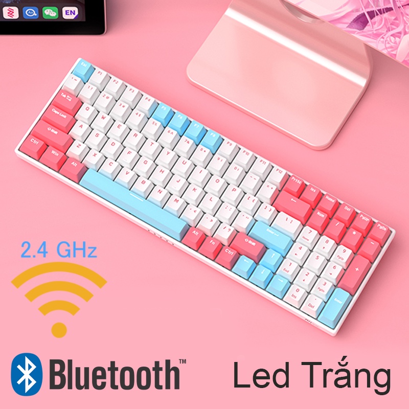 Bàn phím cơ RK100 (RK860) (Bluetooth + Wireless 2.4g + Hotswap)