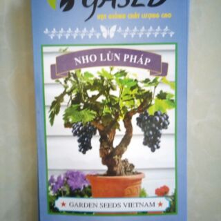 Hạt giống nho lùn Pháp