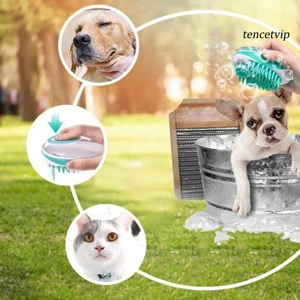 Bàn chải tắm cho thú cưng 2 trong 1 tiện lợi
