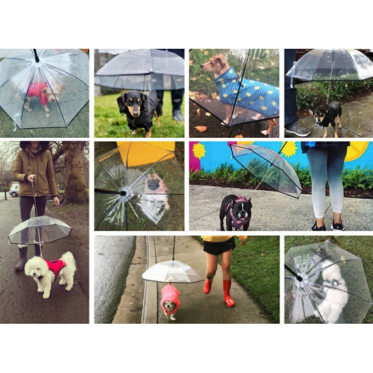 Dù che cho thú cưng đi dạo NAMSAN DOG