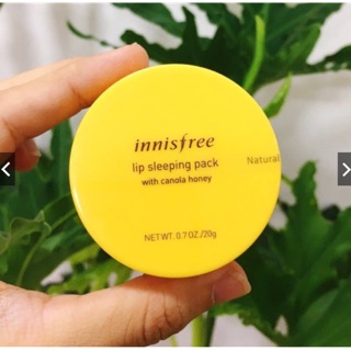 Mặt nạ ngủ cho môi innisfree