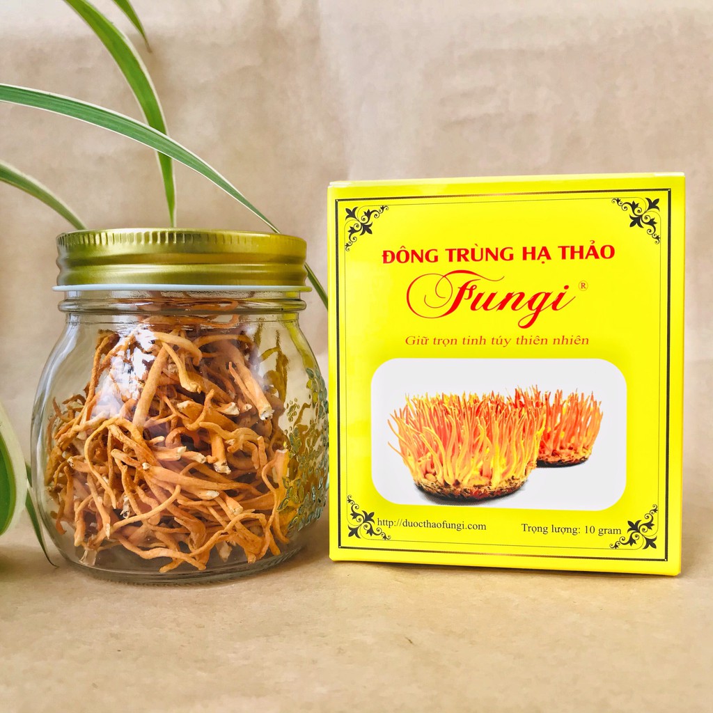 Đông Trùng Hạ Thảo Fungi Khô 10Gram Dược Chất Cao, Tăng Cường Sức khỏe, Giảm Tiểu Đường, Ăn Ngon Ngủ NgonShop KESHOUHIN | BigBuy360 - bigbuy360.vn