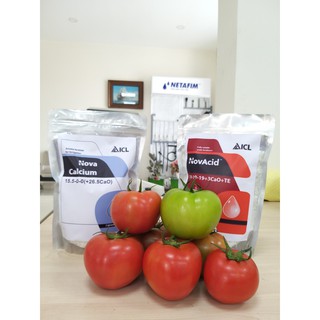 Phân bón Canxi Nitrate Nova Calcium 15.5-0-0 (+ 26.5CaO) ( 1kg/ túi)