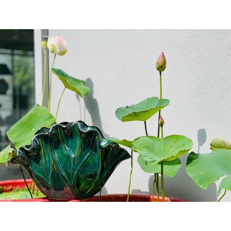 Bình hoa hình lá sen Bát Tràng men hoả biến cao cấp