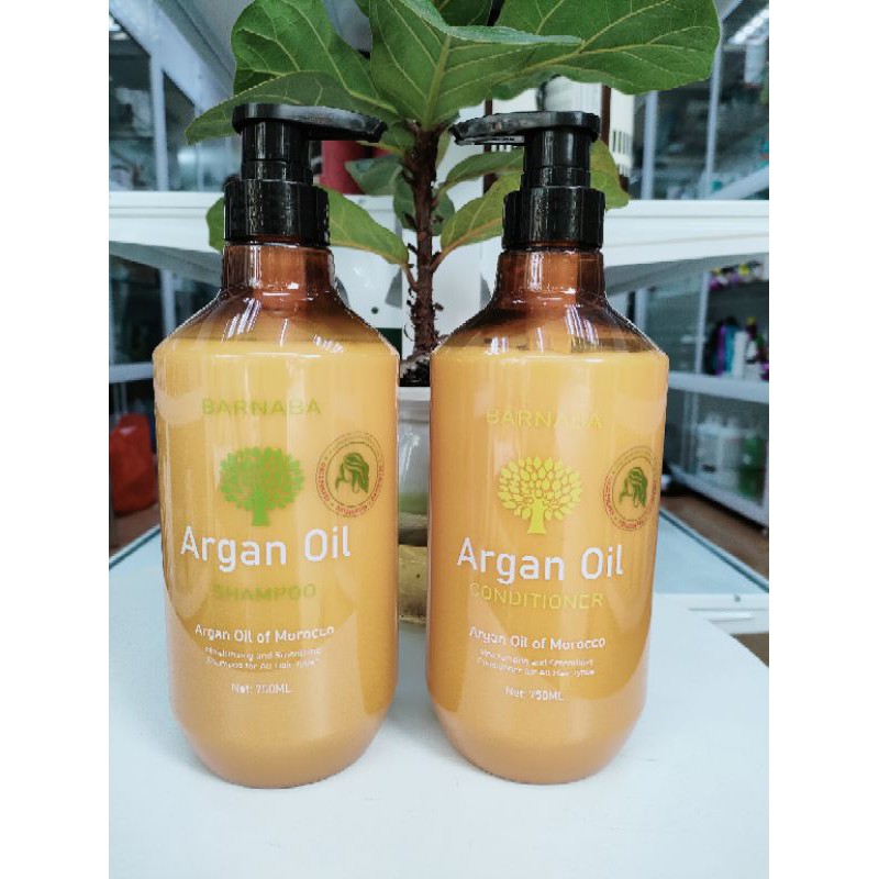 Cặp dầu gội xả ngăn rụng tóc phục hổi hư tổn BARNABA Argan Oil 750ml