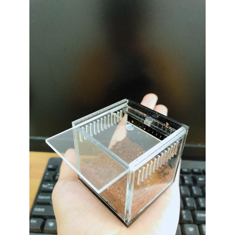 HỘP NUÔI NHỆN NẮP TRƯỢT