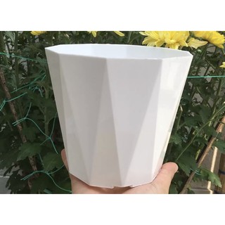 Chậu nhựa kim cương trắng