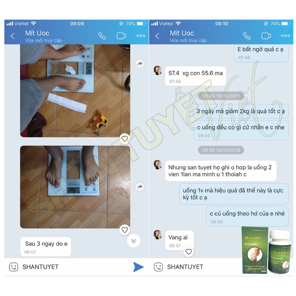 [LT GIẢM 8KG KHÔNG TĂNG LẠI] Shan Tuyết Việt - Nhà Thuốc Viện Dược Liệu Trung Ương | BigBuy360 - bigbuy360.vn