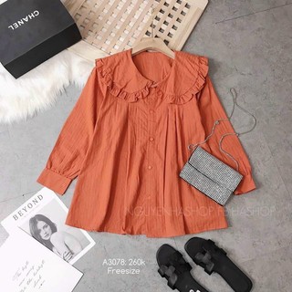 Áo sơ mi cam cổ bèo tay dài