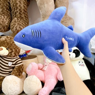 Cá mập baby shark, gấu bông cá mập cao cấp giá tận xưởng