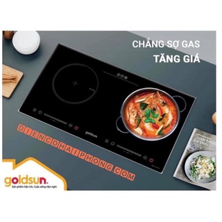 Bếp từ đôi Goldsun Gdi7410