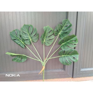 Cây giả - cây lá rùa cao 70cm