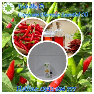 Tinh Dầu Ớt Capsicum Oleoresin essential oil - 10ml