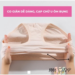 Quần Lót Bầu 💓 Quần Lót Cạp Chéo Chữ U 100% Cotton Thấm Hút, Kháng Khuẩn QL02