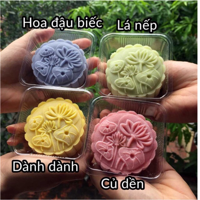 Bộ bột màu từ hoa-rau củ quả - thiên nhiên gói 10g