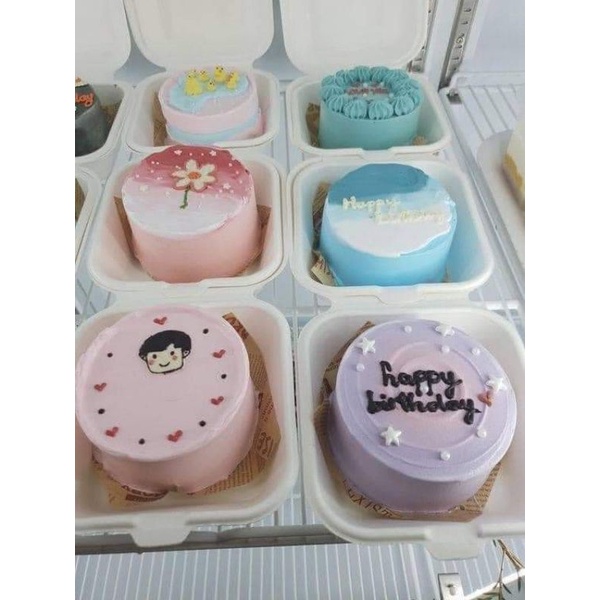 Set 10 hộp bento bã mía