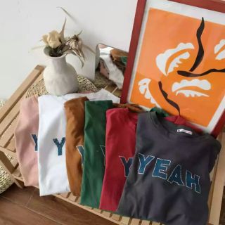 Áo phông cotton loại đẹp